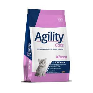 Agility Kitten