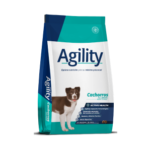 Agility Perro Cachorro