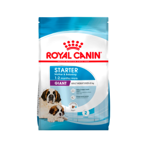 Royal Canin Starter Gigante