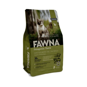 Fawna Kitten