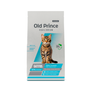 Old Prince Equilibrium Kitten