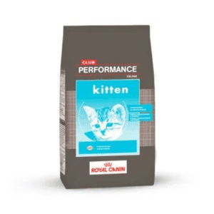Royal canin club performance kitten