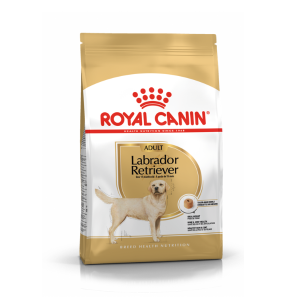 Royal Canin Labrador