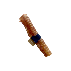 Bruler Pipe Trachea