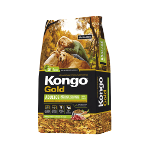 Kongo Gold Adulto