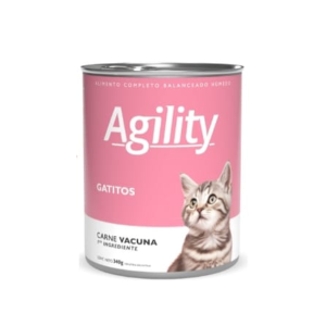 Agility Lata Kitten