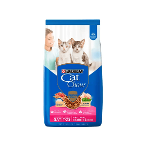 Catchow Gatitos